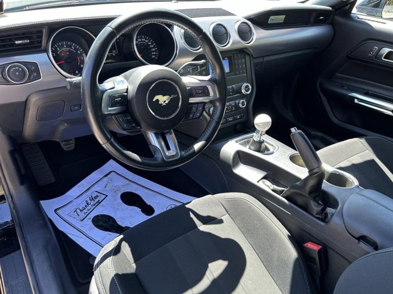 2019 Ford Mustang GT | No Accidents | Heated Steering Photo