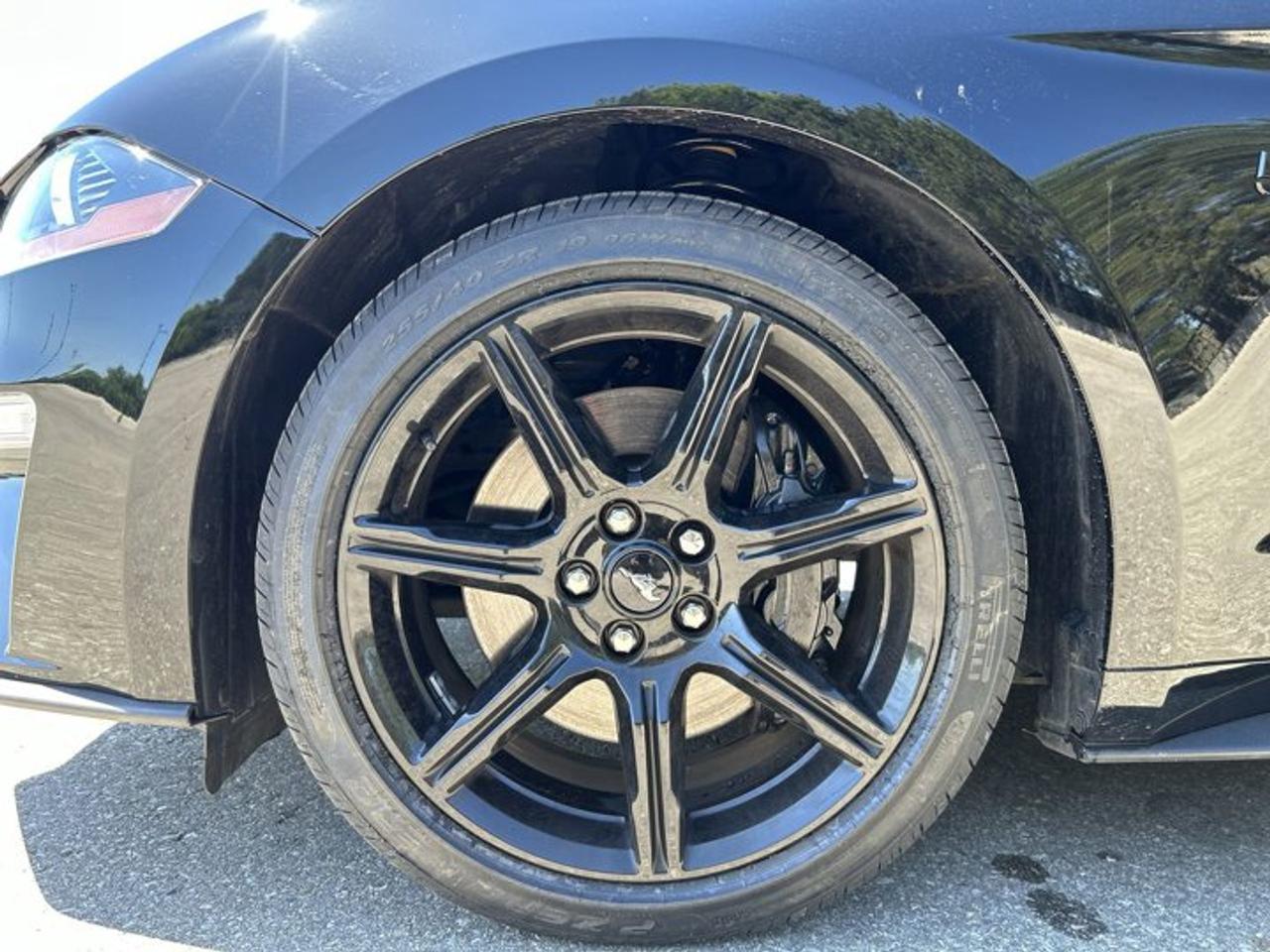 2019 Ford Mustang GT | No Accidents | Heated Steering Photo