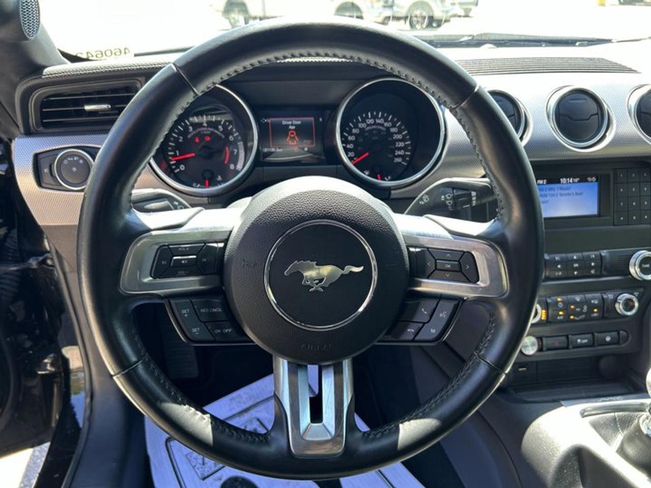2019 Ford Mustang GT | No Accidents | Heated Steering Photo