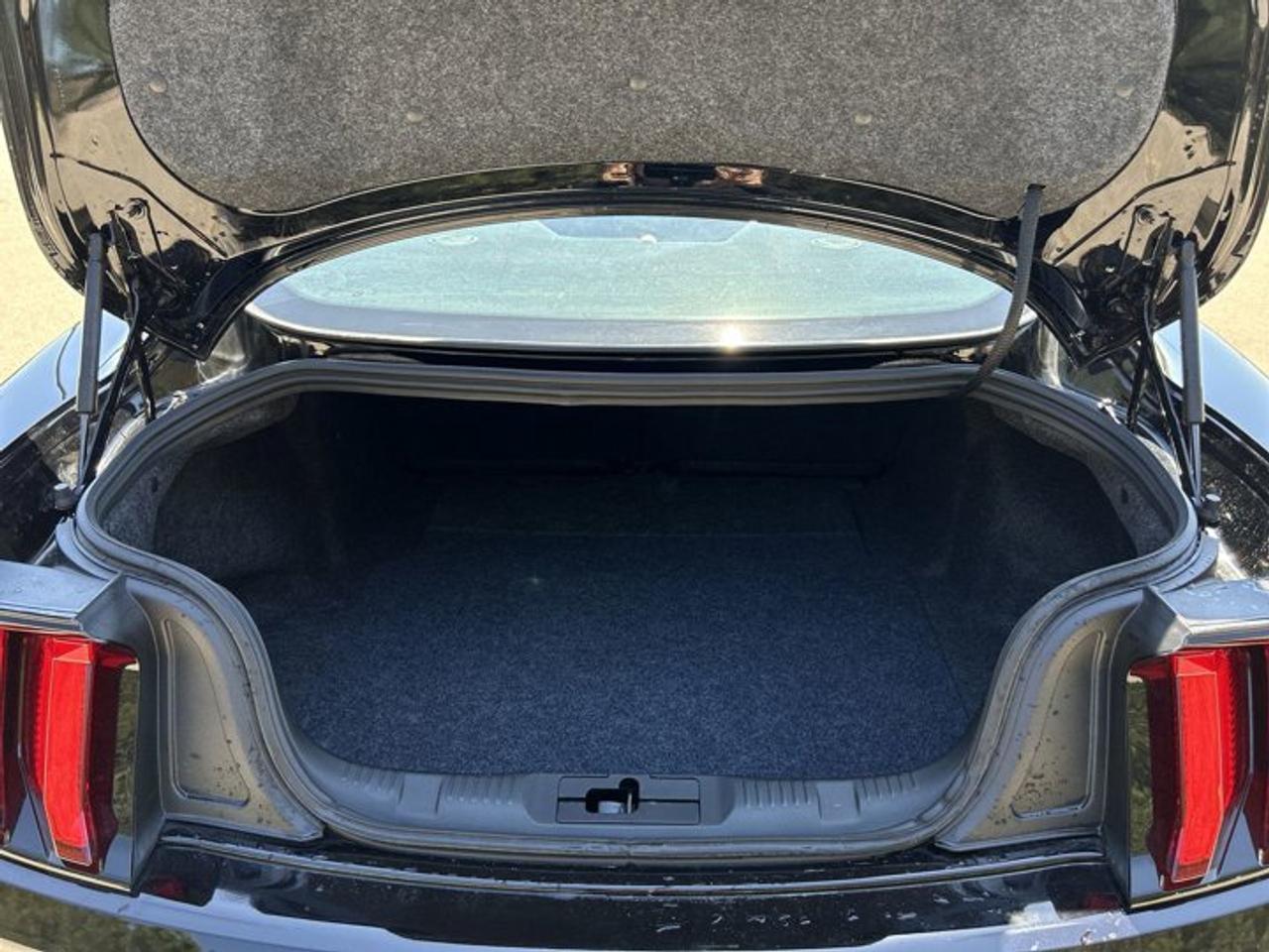 2019 Ford Mustang GT | No Accidents | Heated Steering Photo