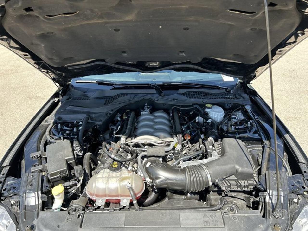 2019 Ford Mustang GT | No Accidents | Heated Steering Photo