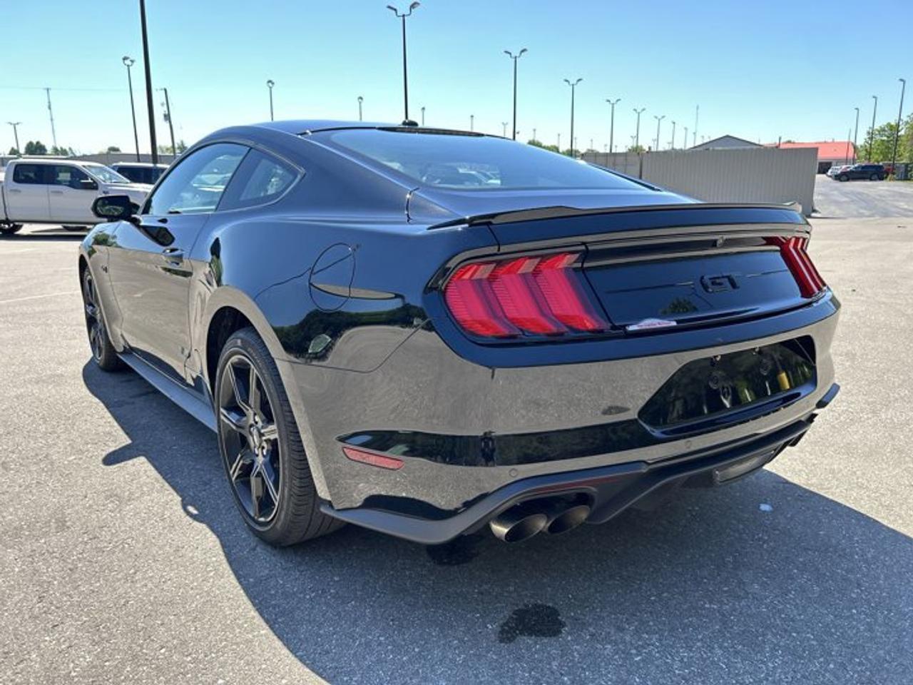 2019 Ford Mustang GT | No Accidents | Heated Steering Photo