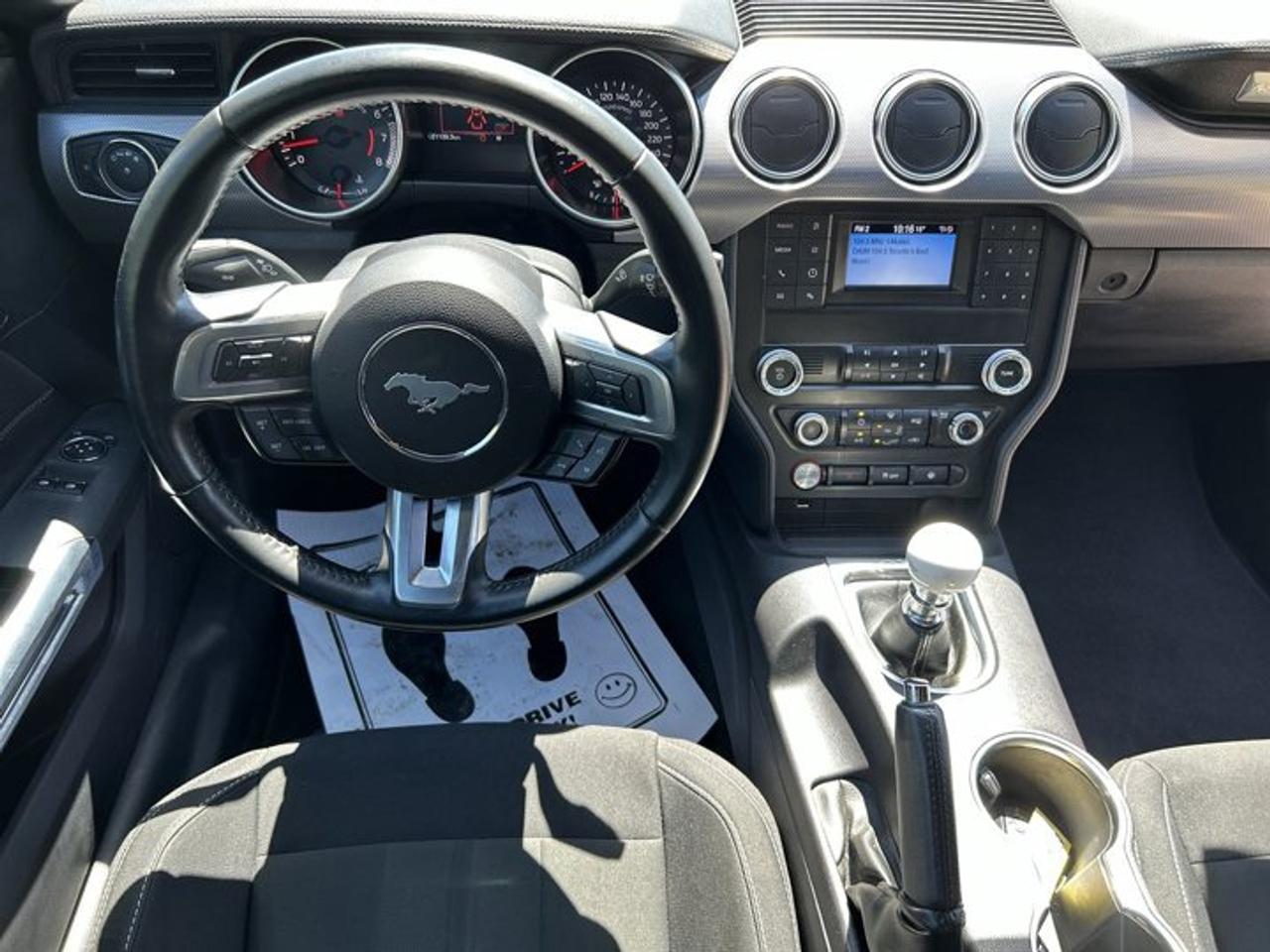 2019 Ford Mustang GT | No Accidents | Heated Steering Photo