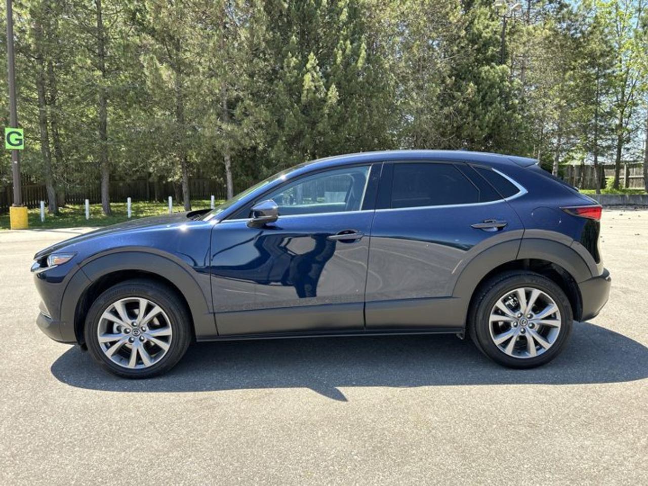 2025 Mazda CX-30 GT AWD | No Accidents | Sunroof | Leather Seats | 360 Camera Photo