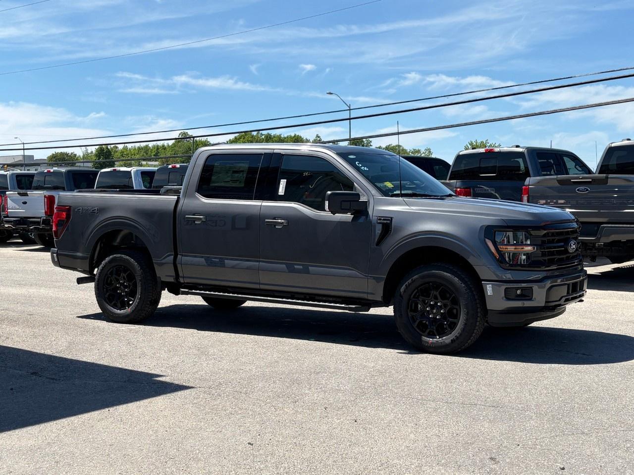 2026 Ford F-150 XLT 4WD SuperCrew 5.5' Box Photo