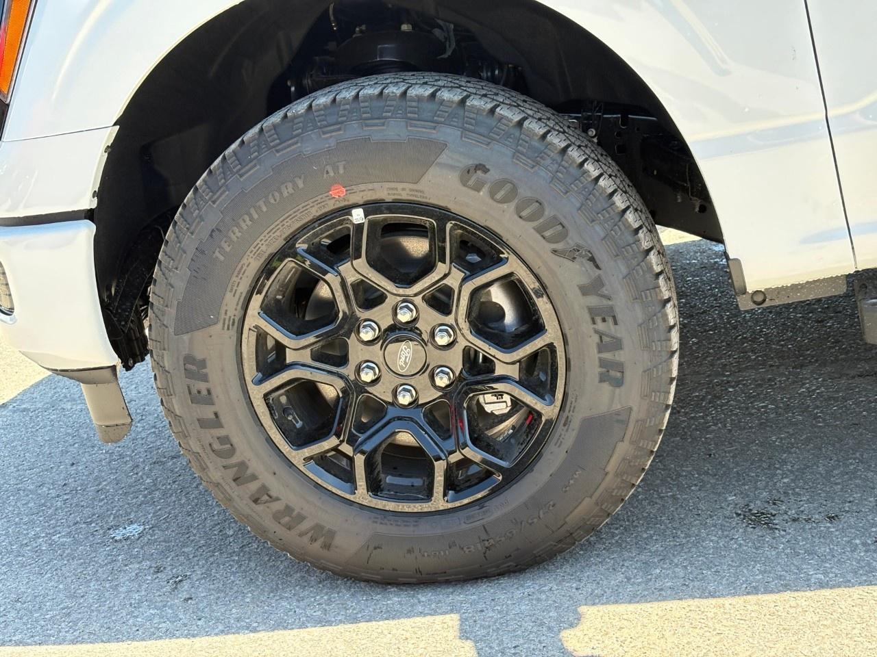 2026 Ford F-150 XLT 4WD SuperCrew 6.5' Box Photo