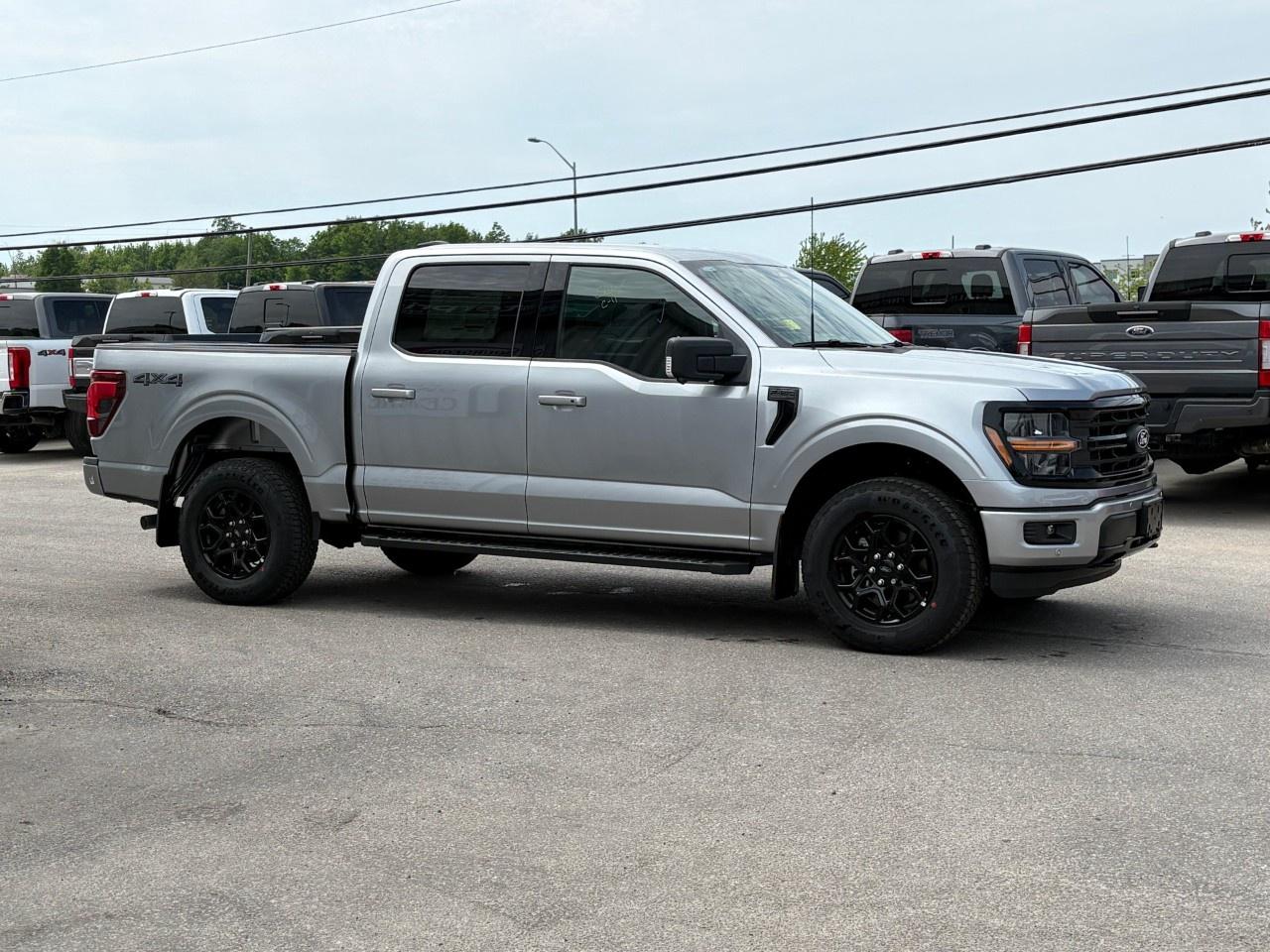 2026 Ford F-150 XLT 4WD SuperCrew 5.5' Box Photo