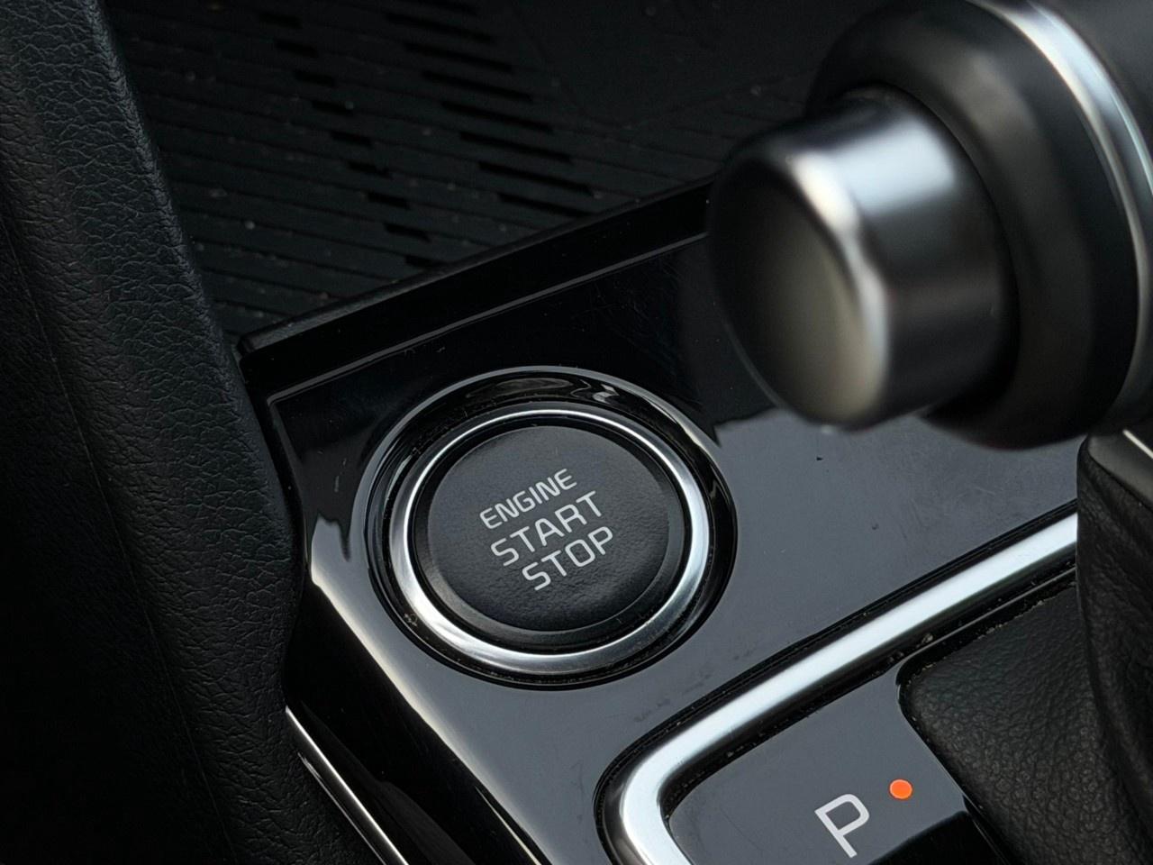 2024 Kia Sportage EX Premium AWD w/Black Interior Photo