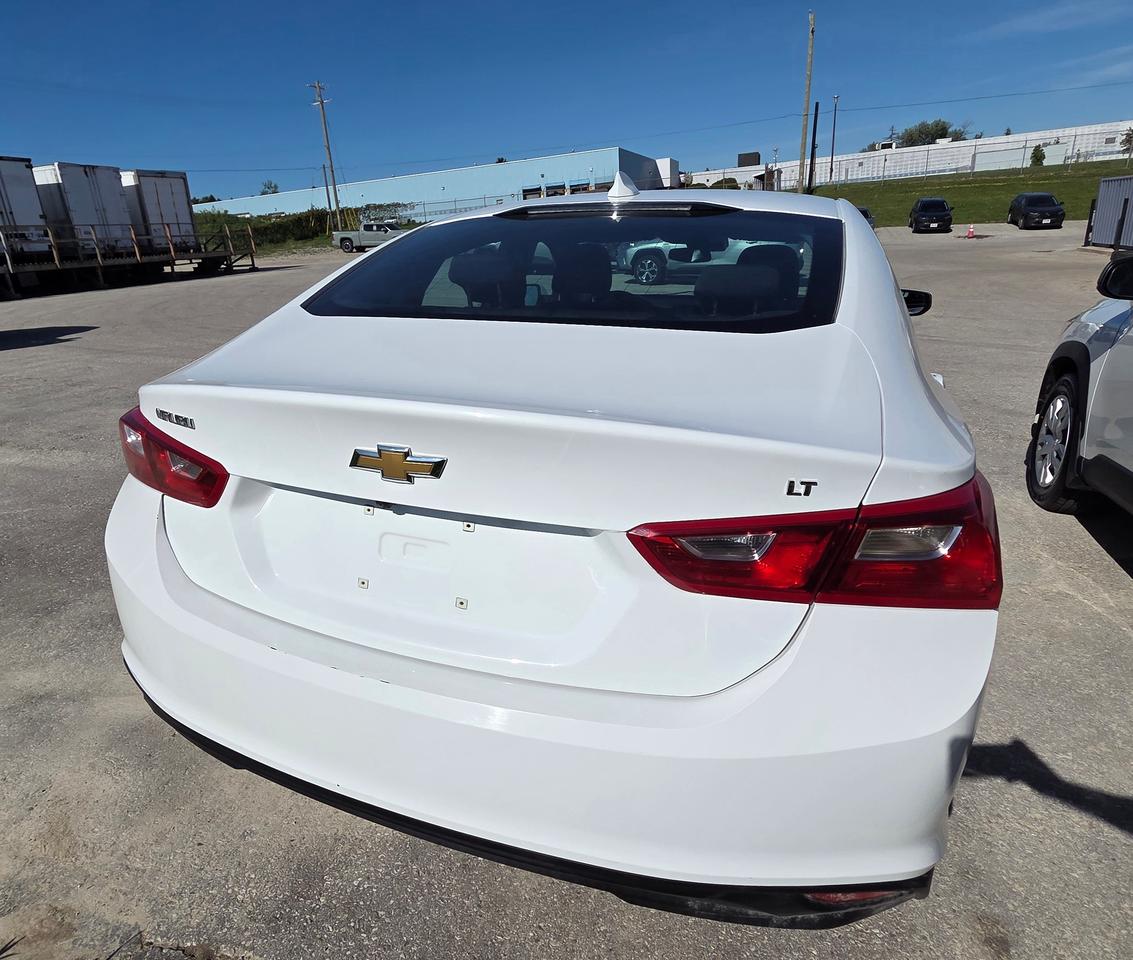 2023 Chevrolet Malibu 1LT Photo