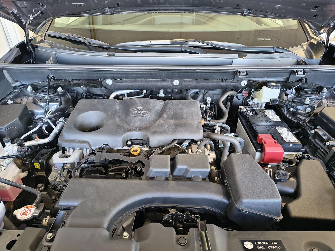 2024 Toyota RAV4 XLE Photo0