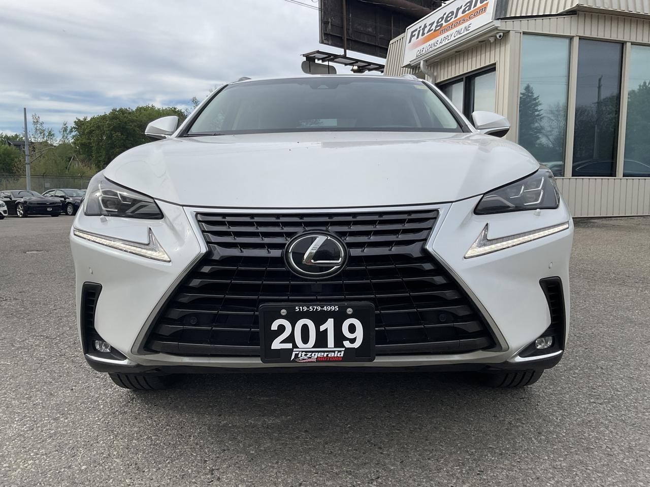 2019 Lexus NX NX 300 Premium AWD - LEATHER! NAV! BACK-UP CAM! BS Photo
