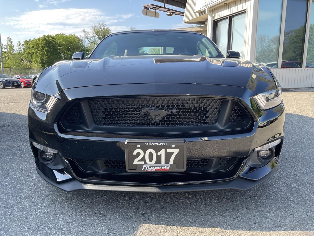 2017 Ford Mustang GT Convertible - LEATHER! NAV! BACK-UP CAM! BSM! 6 Photo
