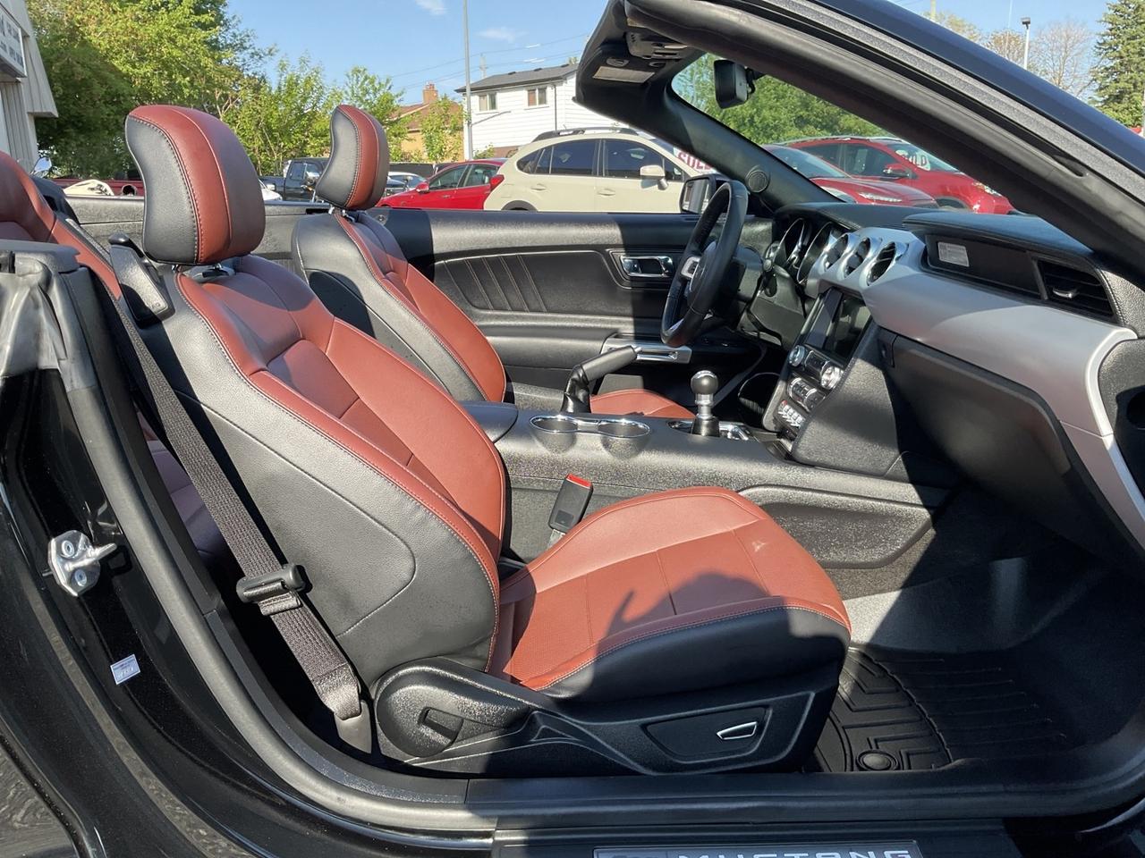 2017 Ford Mustang GT Convertible - LEATHER! NAV! BACK-UP CAM! BSM! 6 Photo