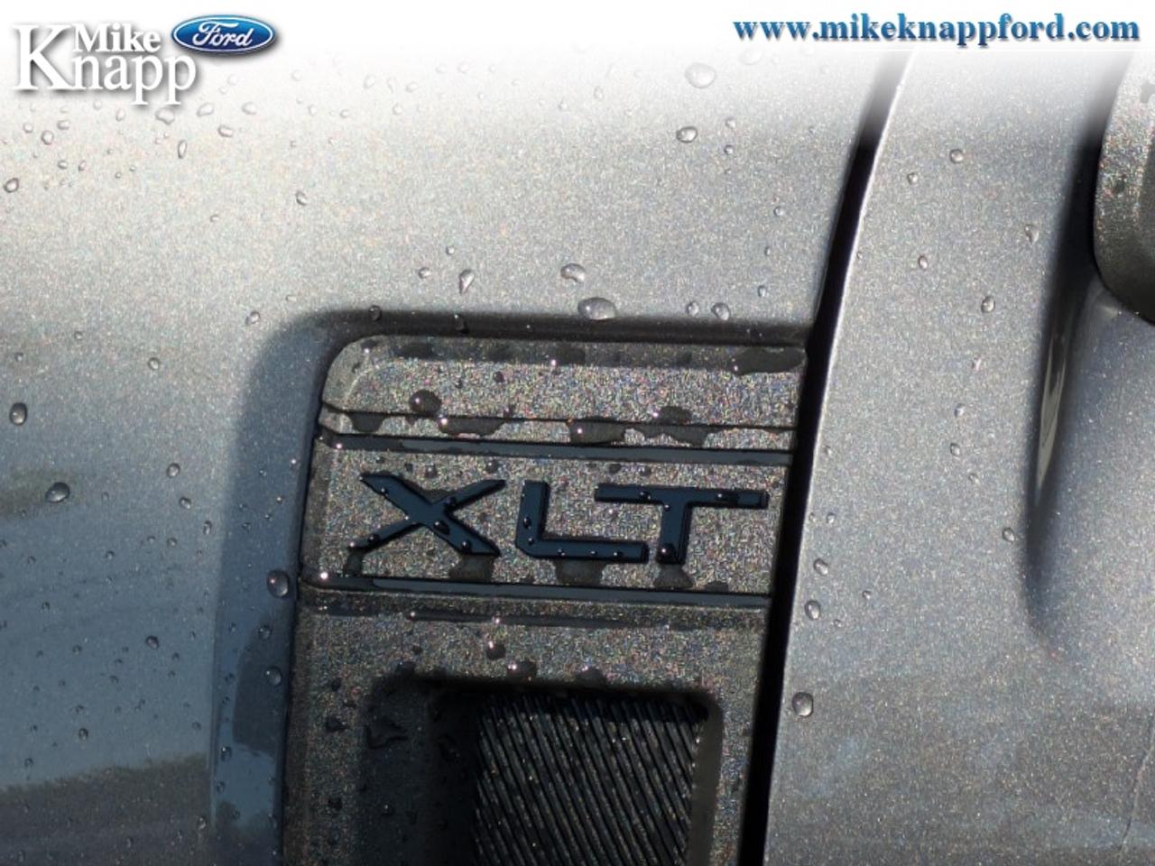 2026 Ford Maverick XLT Photo