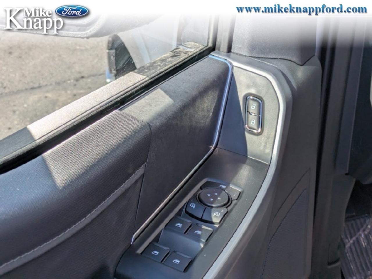 2026 Ford F-150 XLT Photo