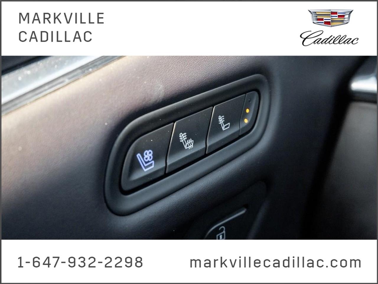 2023 Cadillac Escalade Sport Platinum All-Wheel Drive Photo