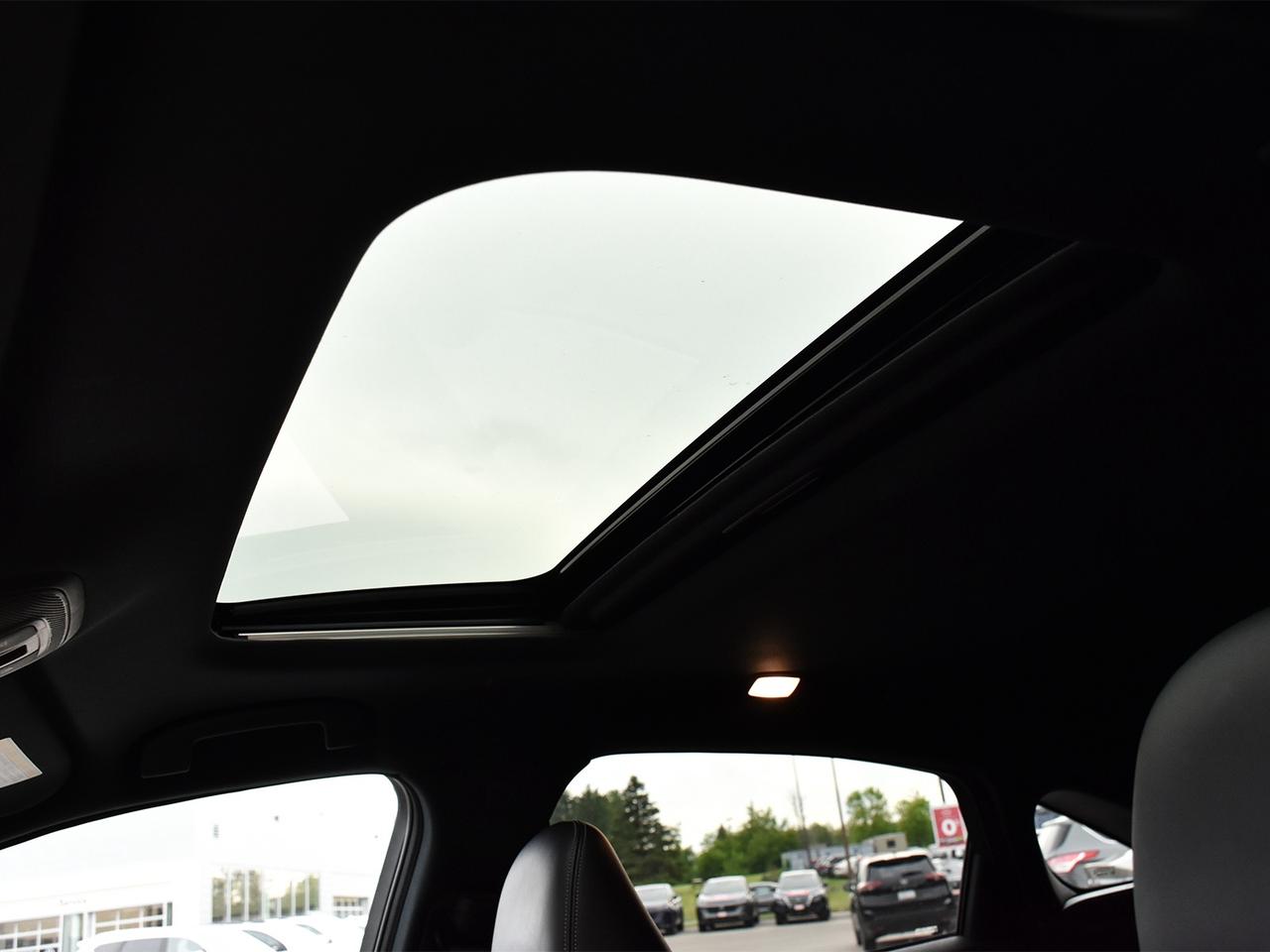 2022 Infiniti QX55 ESSENTIAL ProASSIST AWD  - Leather Seats Photo