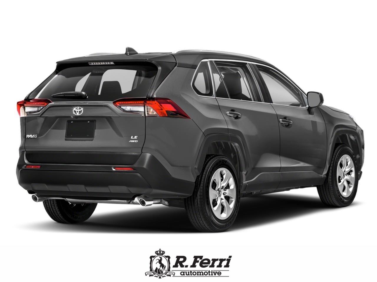 2019 Toyota RAV4 LE 4dr All-wheel Drive Photo