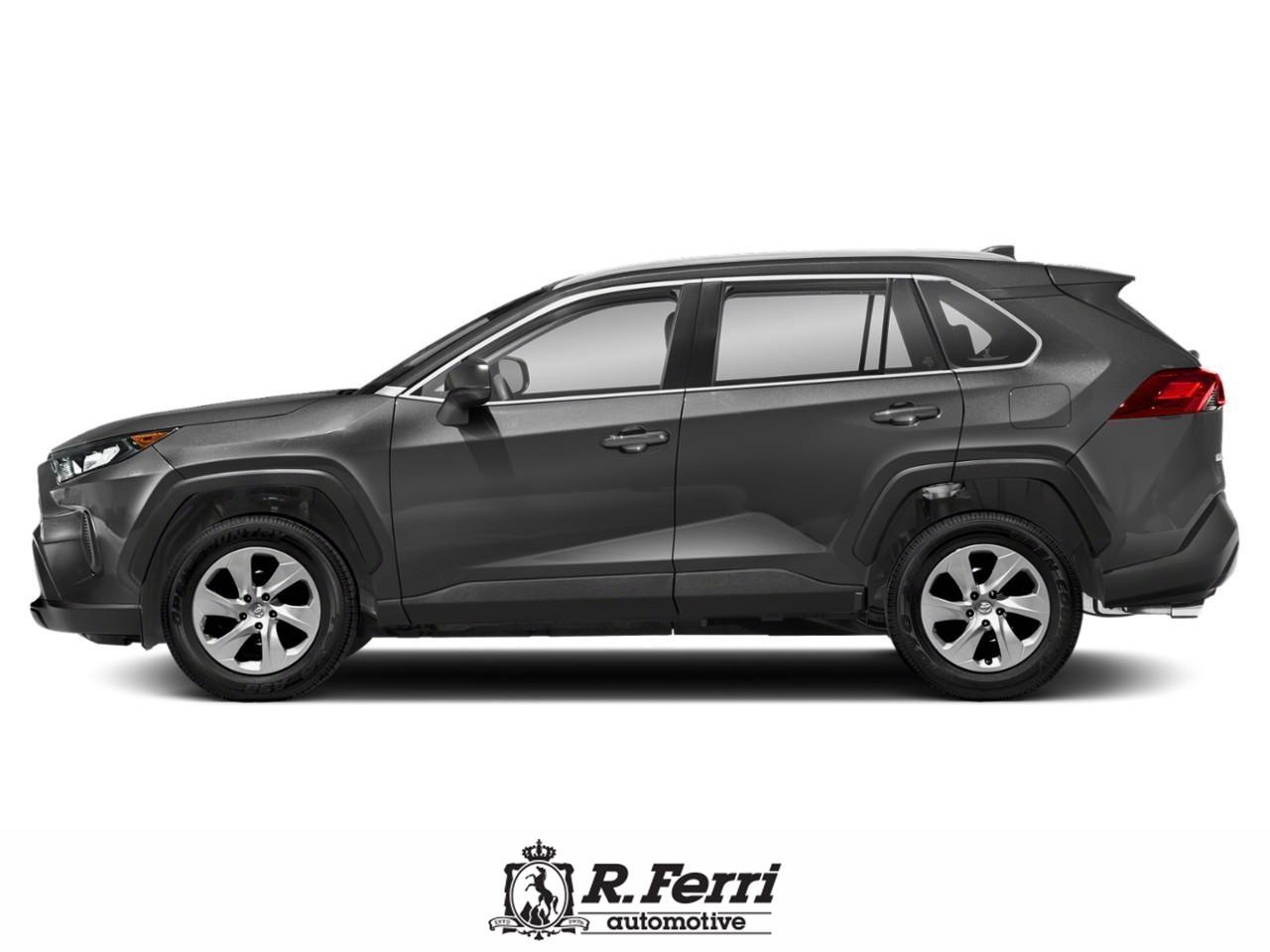 2019 Toyota RAV4 LE 4dr All-wheel Drive Photo