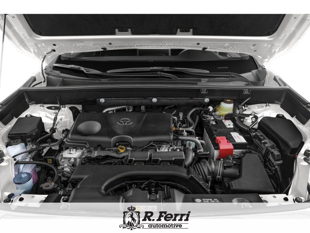 2019 Toyota RAV4 LE 4dr All-wheel Drive Photo