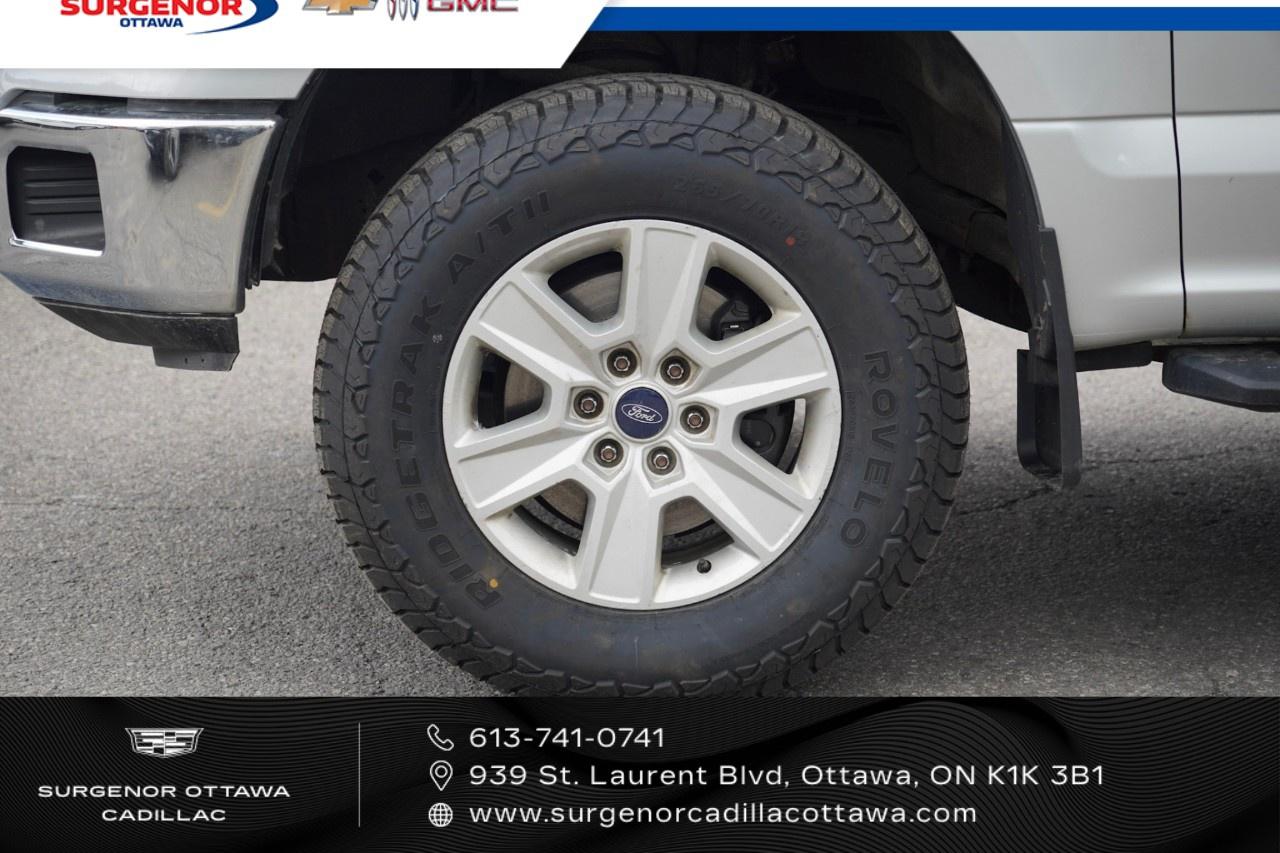 2018 Ford F-150 XL 4WD REG CAB 6.5' BOX Photo