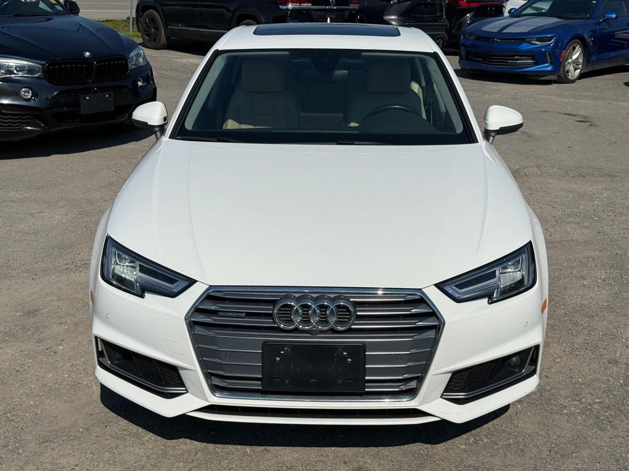 2019 Audi A4 Technik Photo