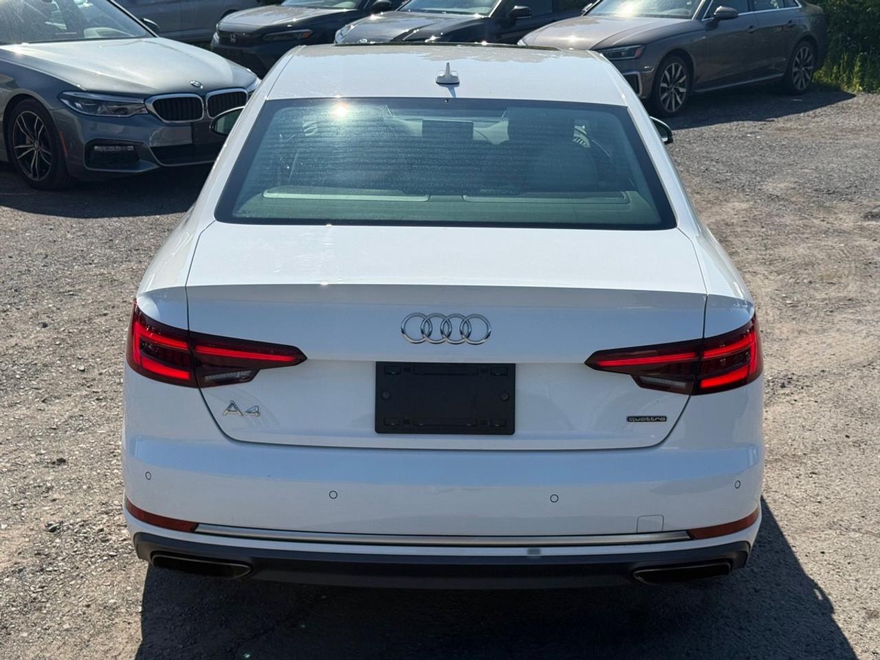 2019 Audi A4 Technik Photo