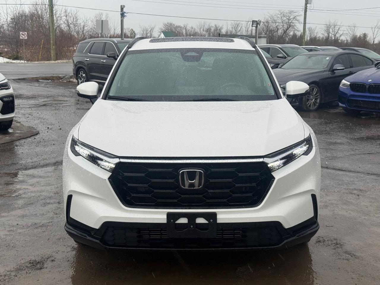 2024 Honda CR-V  Photo