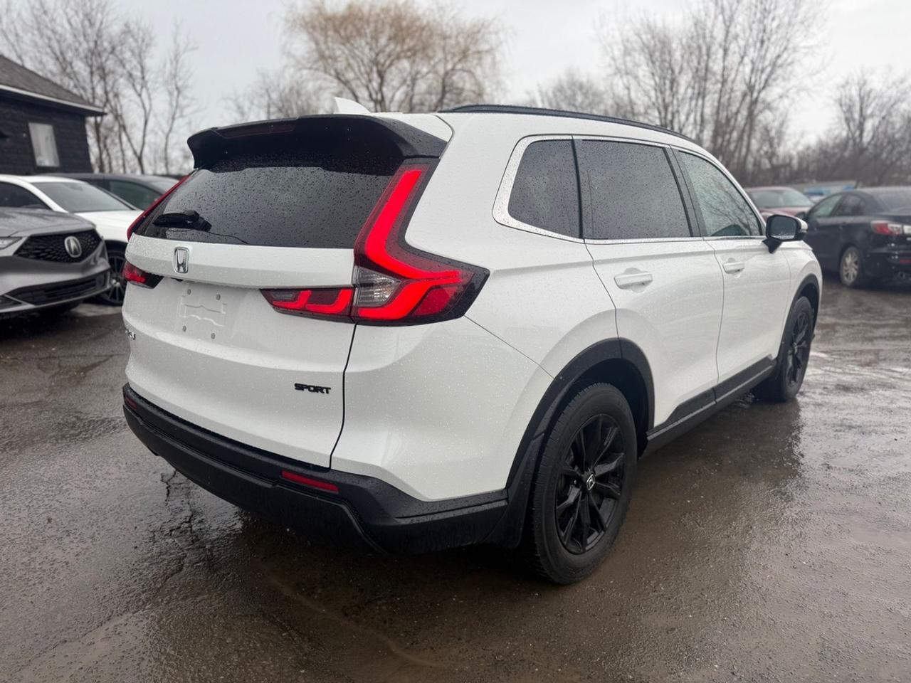 2024 Honda CR-V  Photo