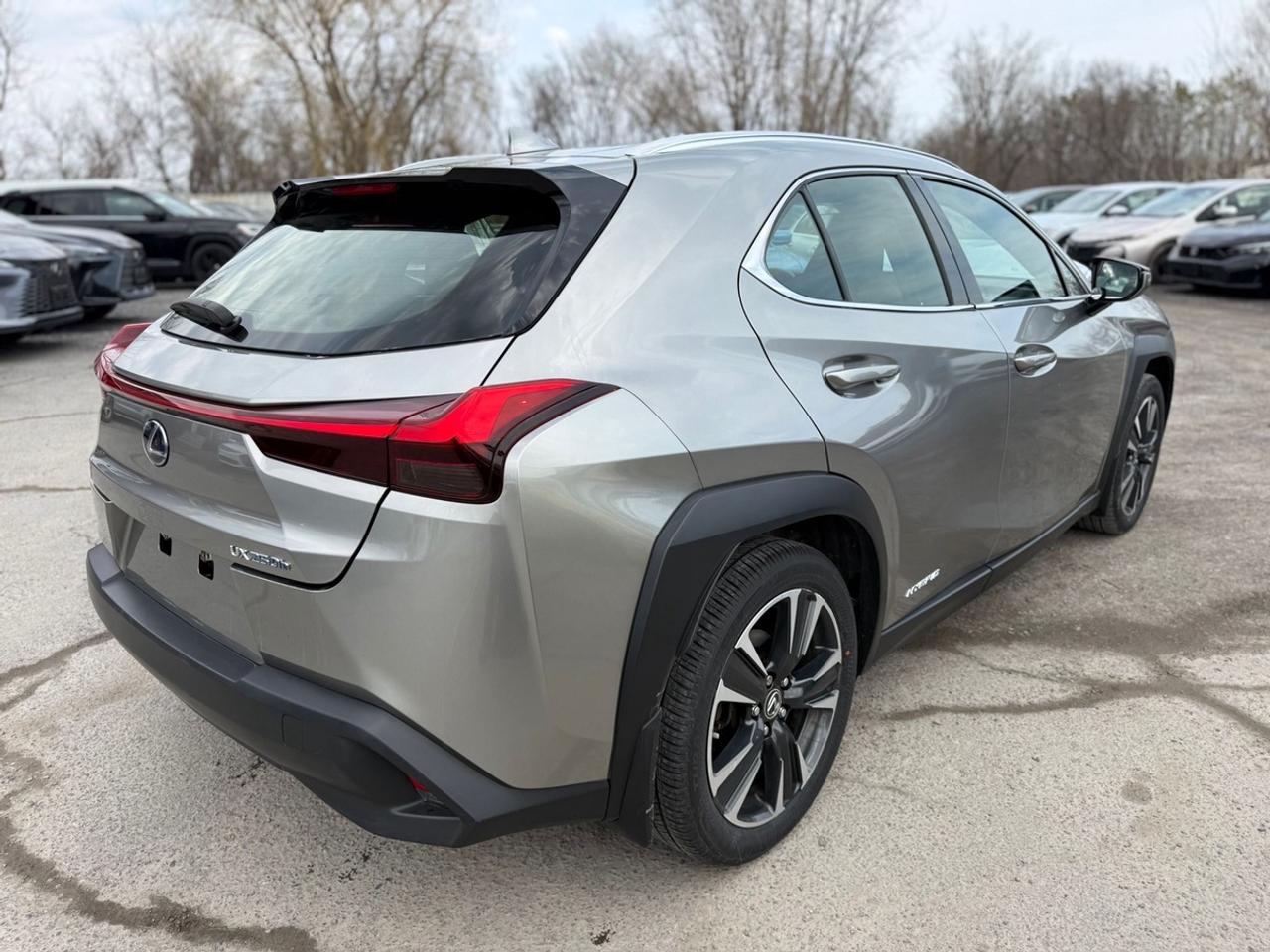 2021 Lexus UX 250H BASE Photo