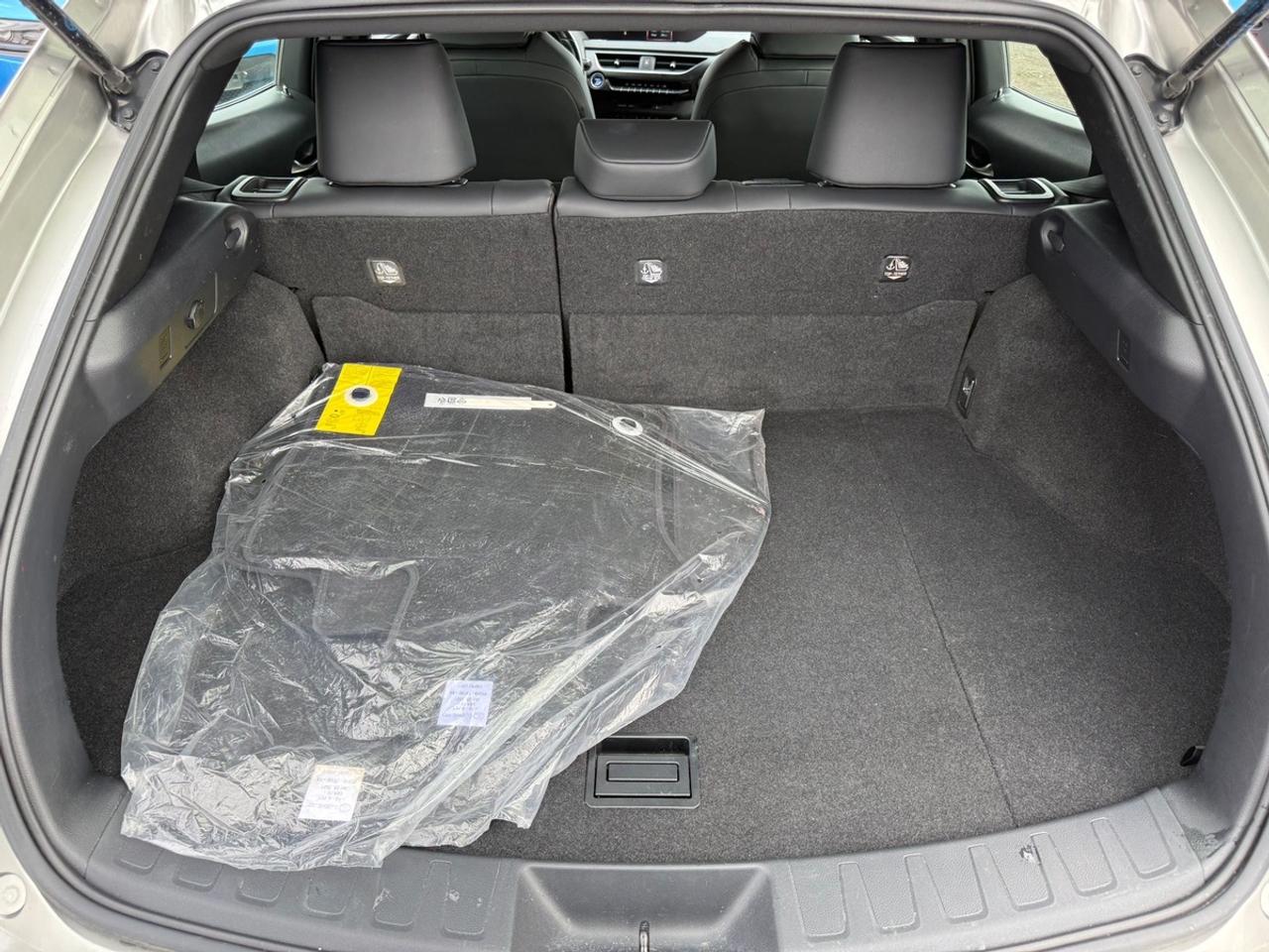 2021 Lexus UX 250H BASE Photo