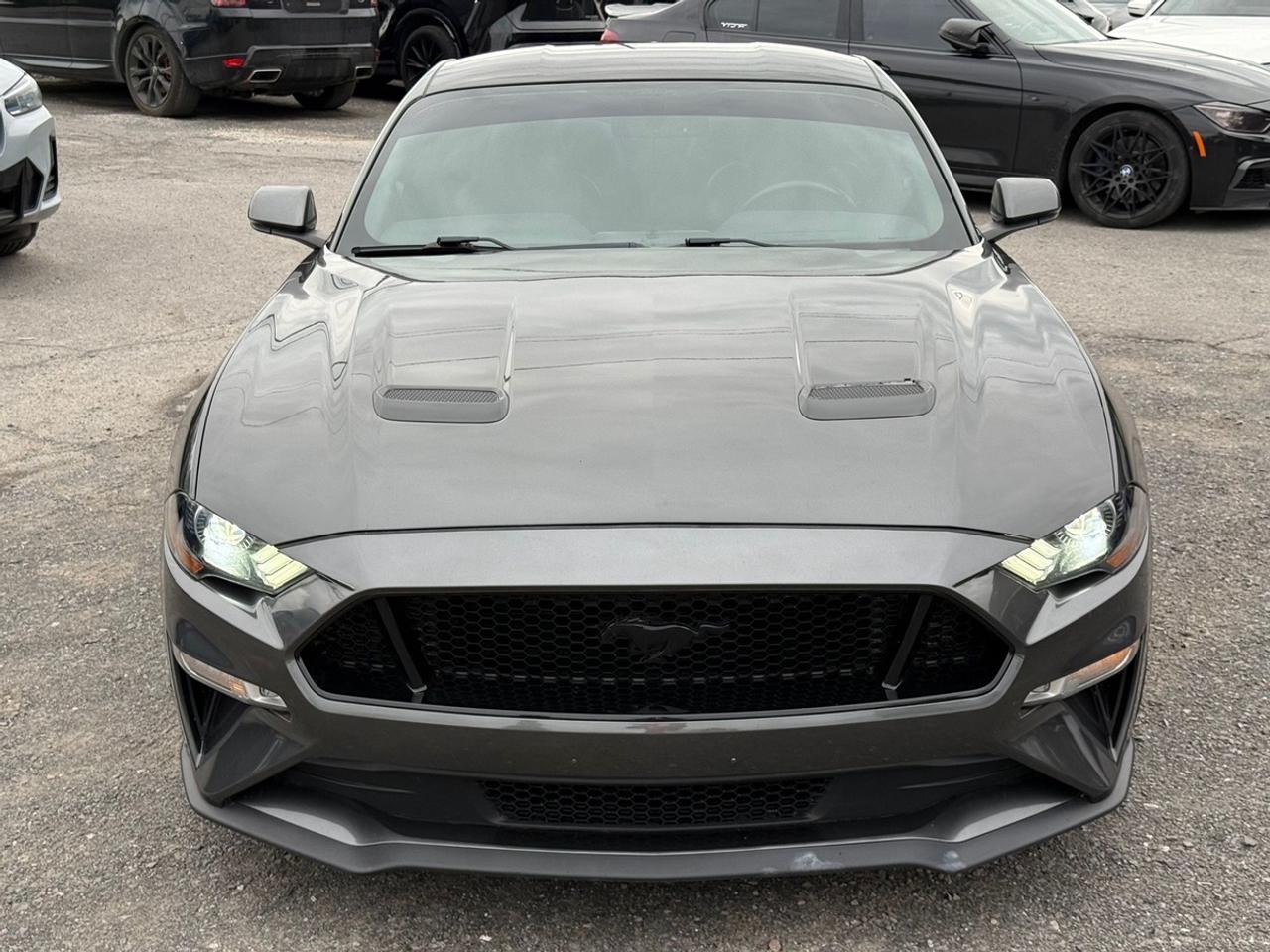 2019 Ford Mustang GT Premium Photo