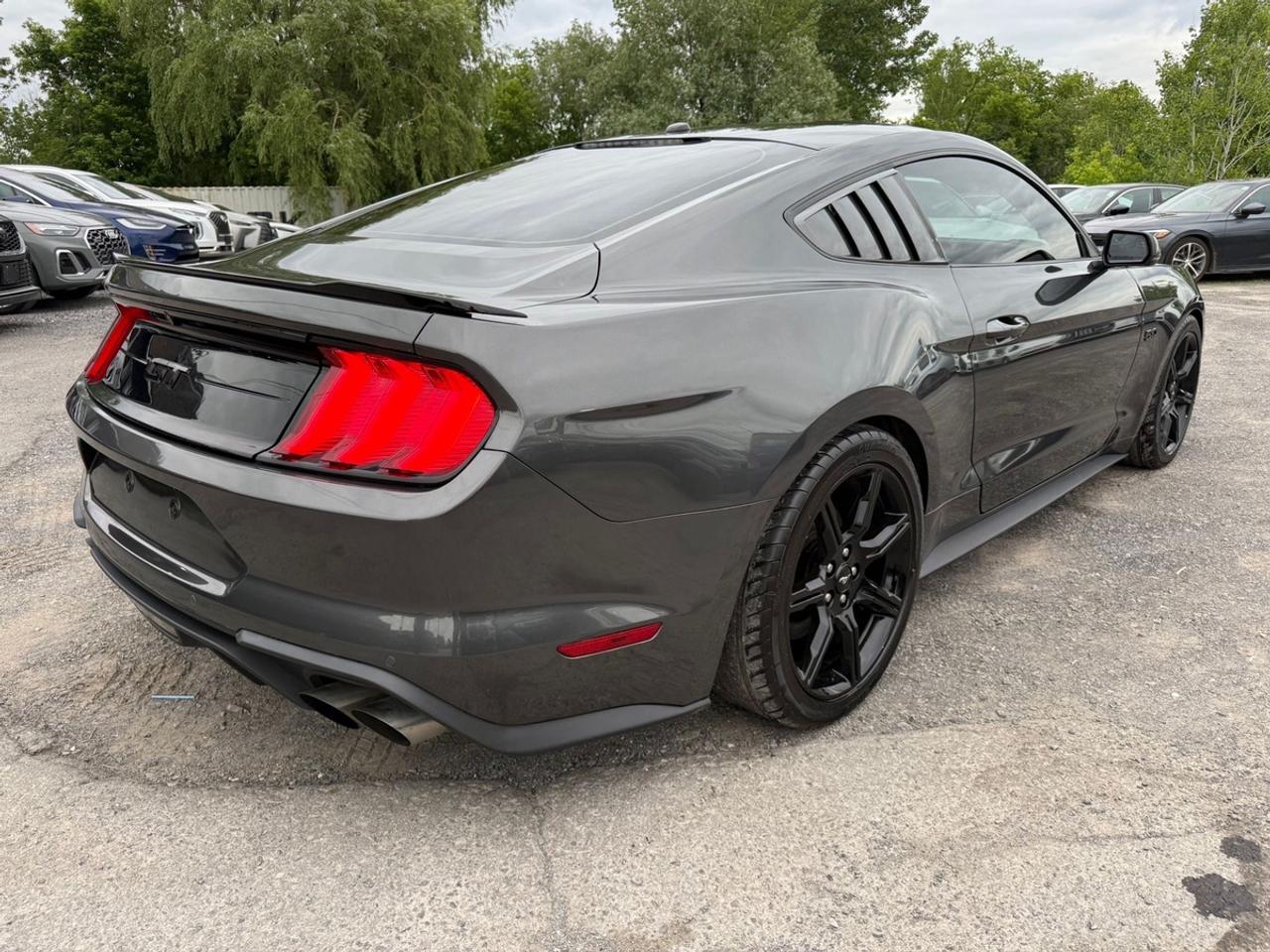 2019 Ford Mustang GT Premium Photo