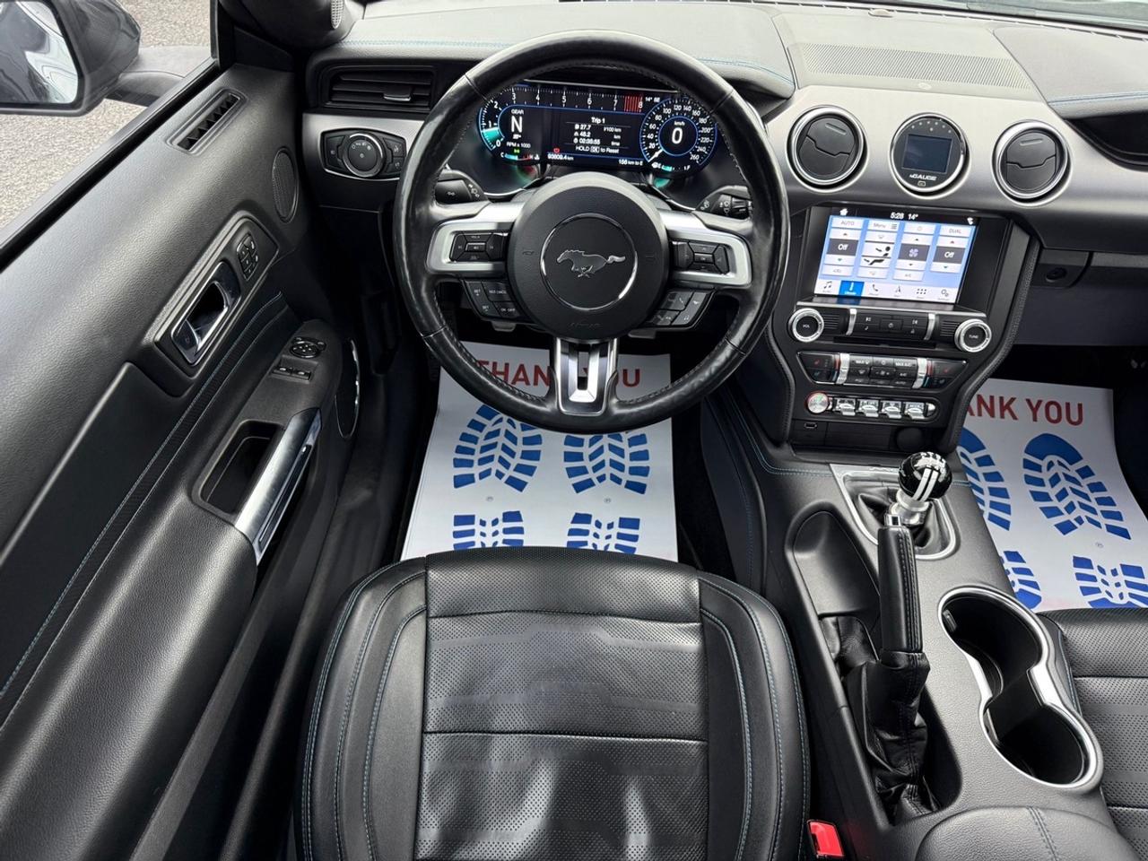 2019 Ford Mustang GT Premium Photo