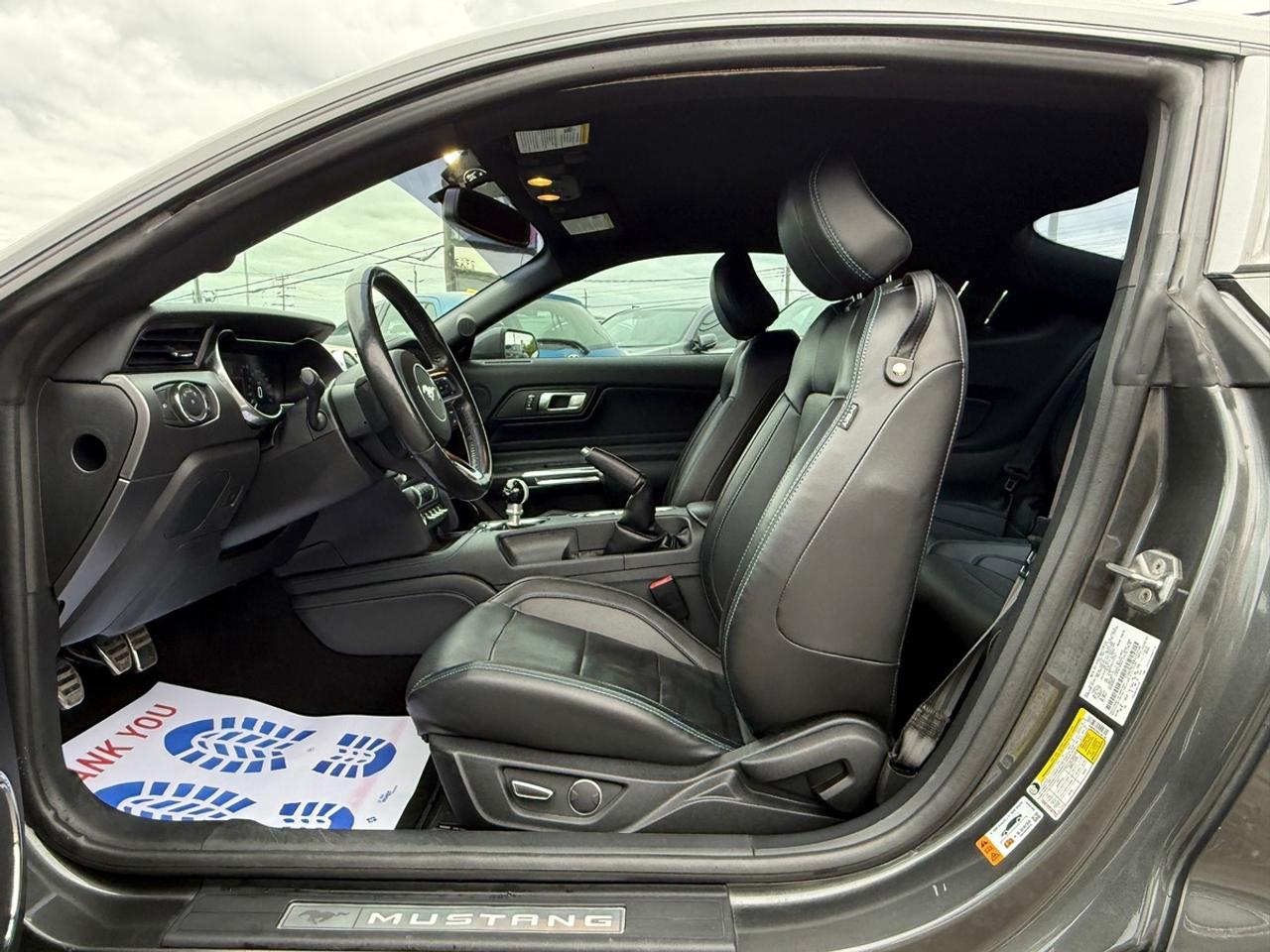 2019 Ford Mustang GT Premium Photo