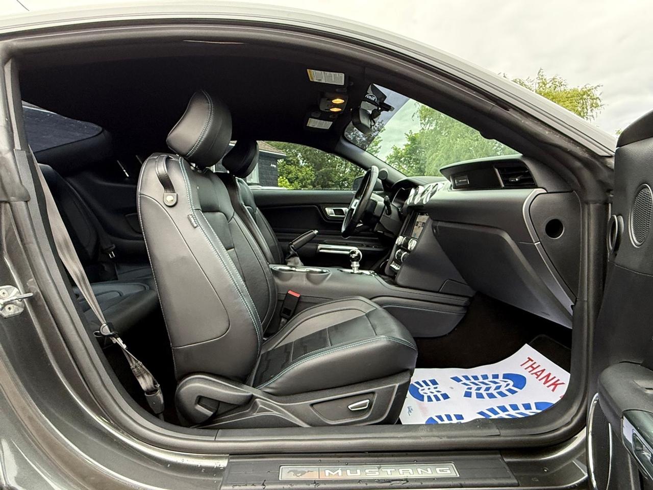 2019 Ford Mustang GT Premium Photo