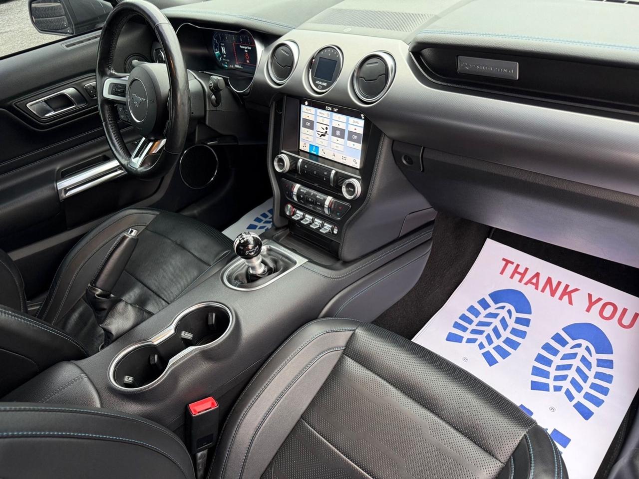2019 Ford Mustang GT Premium Photo