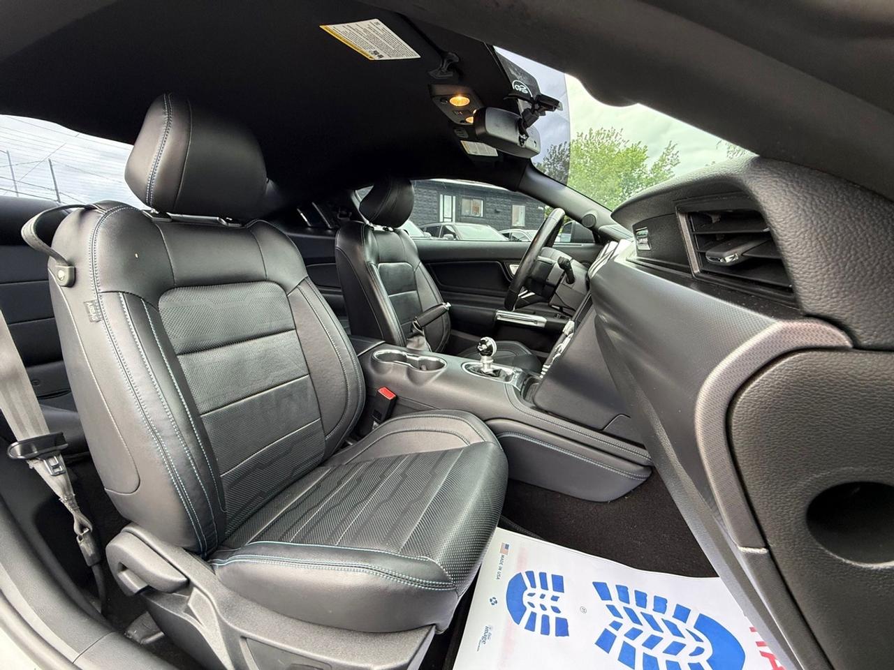 2019 Ford Mustang GT Premium Photo