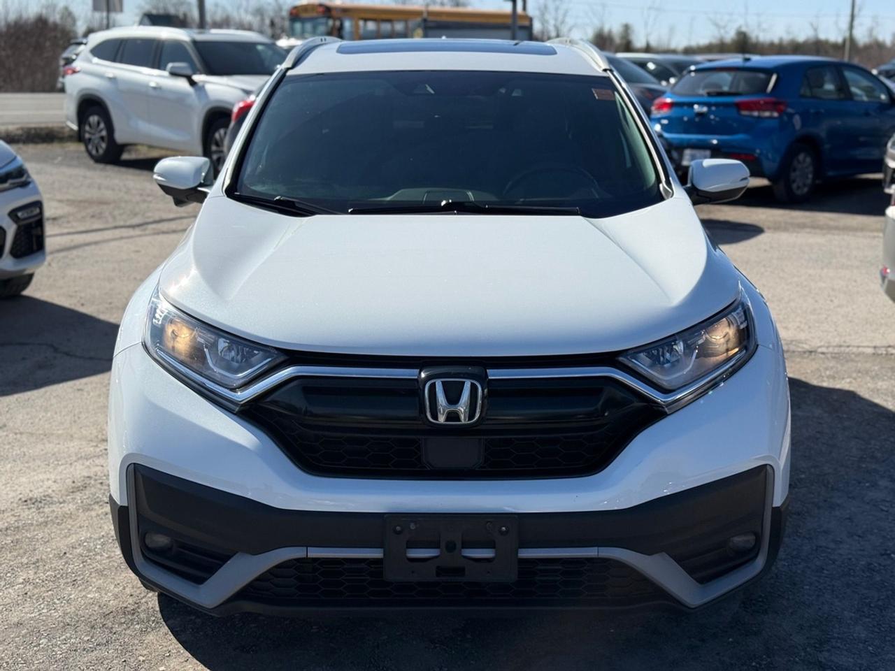 2020 Honda CR-V Sport Photo