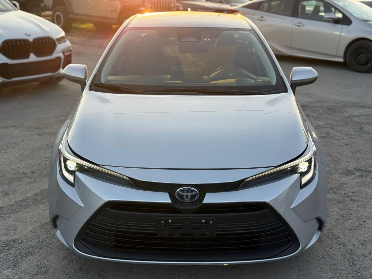 2023 Toyota Corolla LE Photo