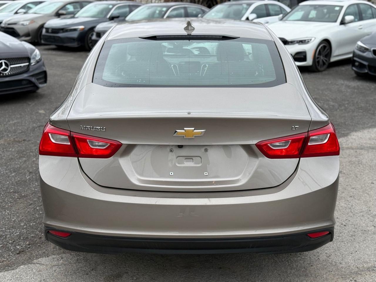 2023 Chevrolet Malibu LT Photo