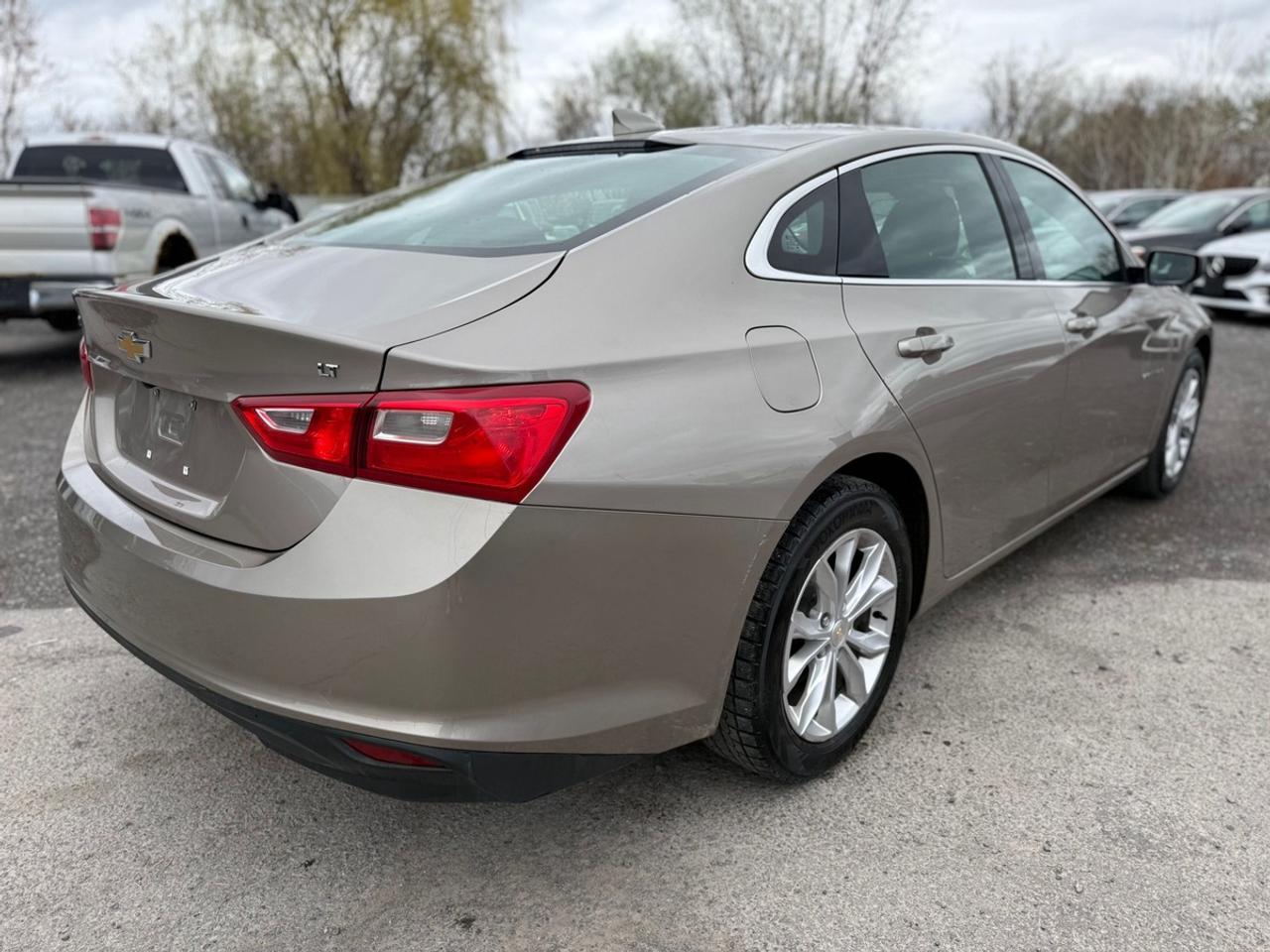 2023 Chevrolet Malibu LT Photo