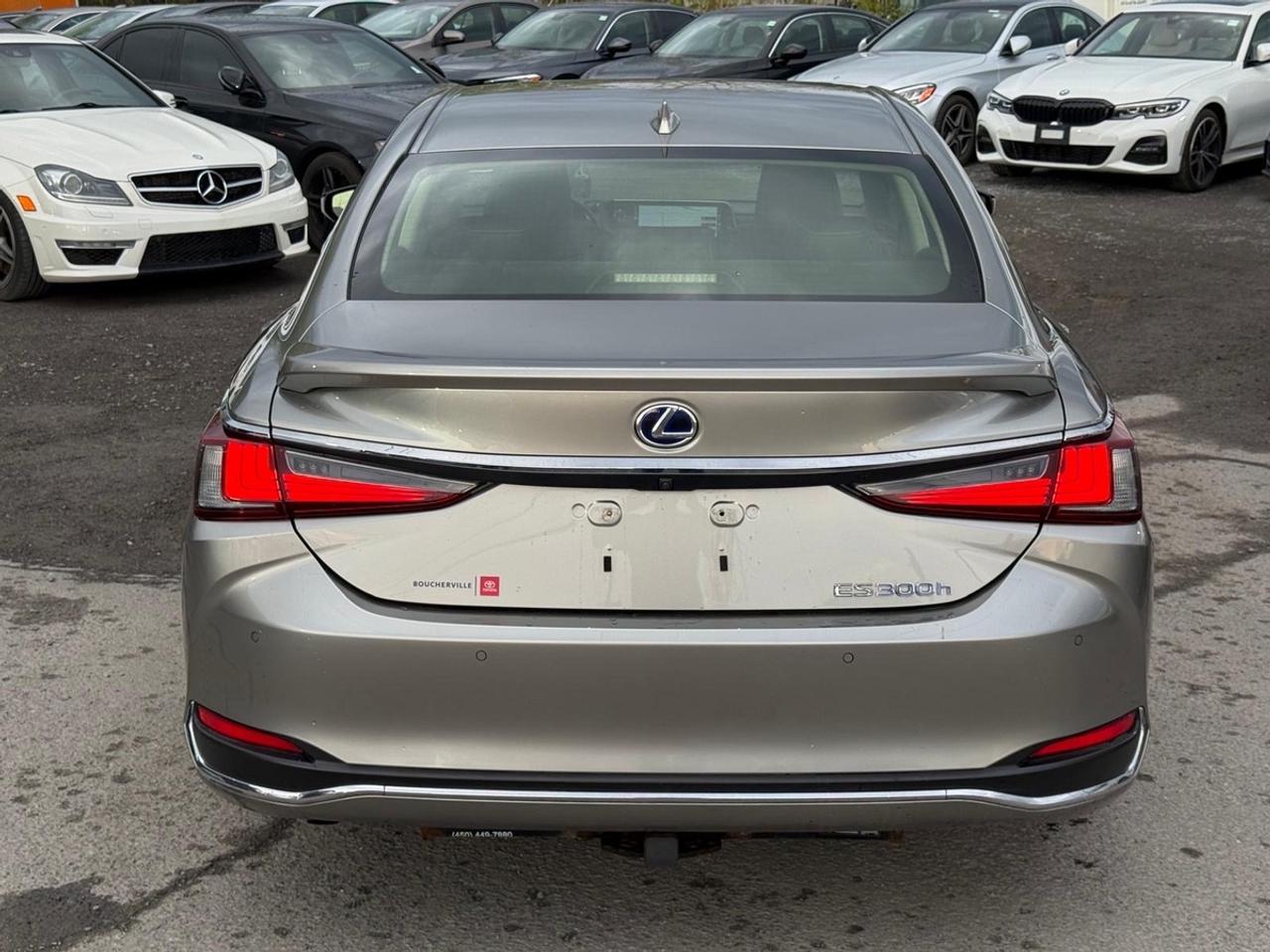 2019 Lexus ES 300h Ultra Luxury Photo