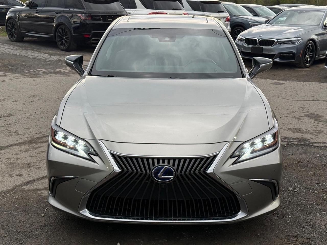2019 Lexus ES 300h Ultra Luxury Photo