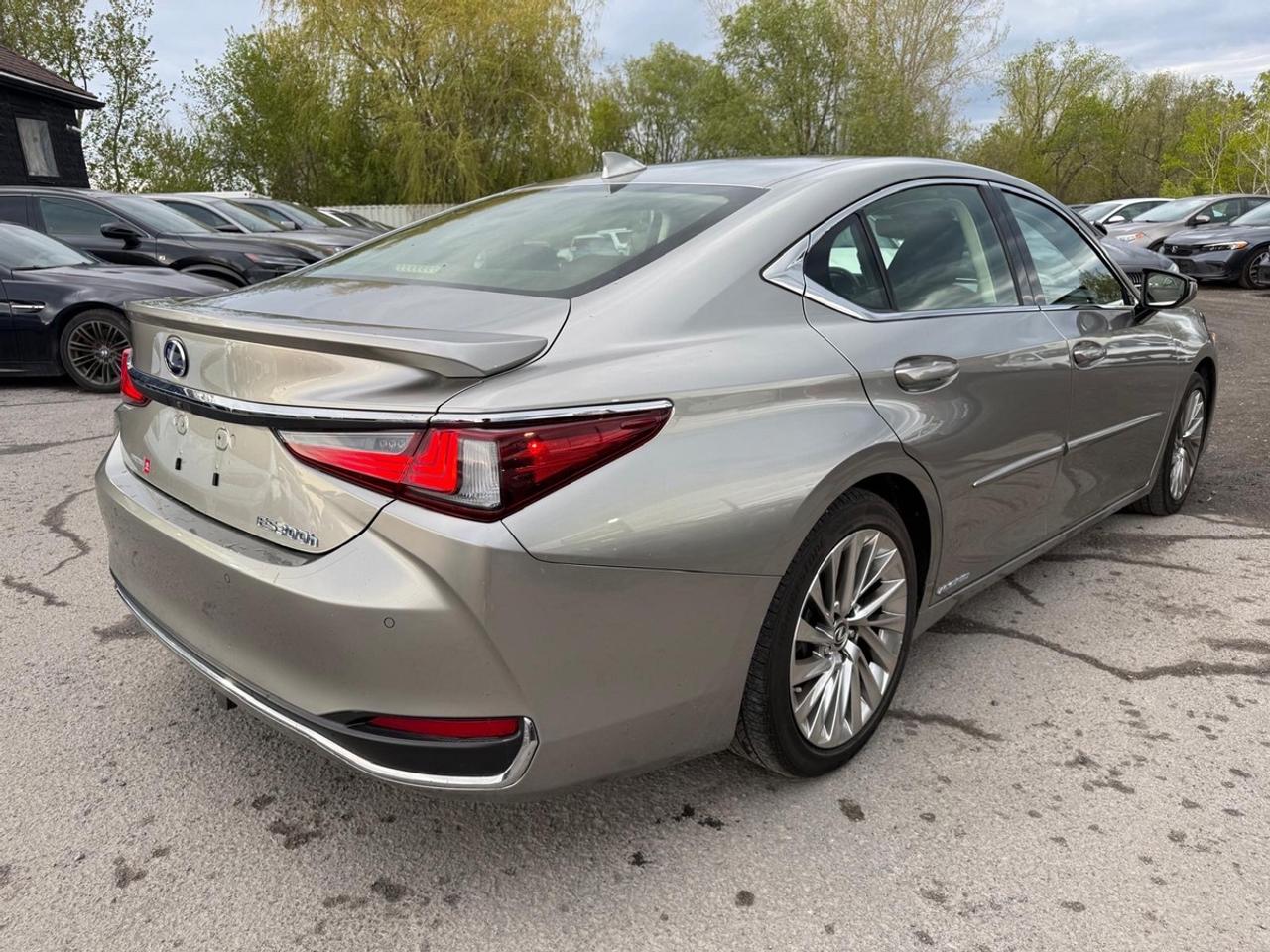 2019 Lexus ES 300h Ultra Luxury Photo