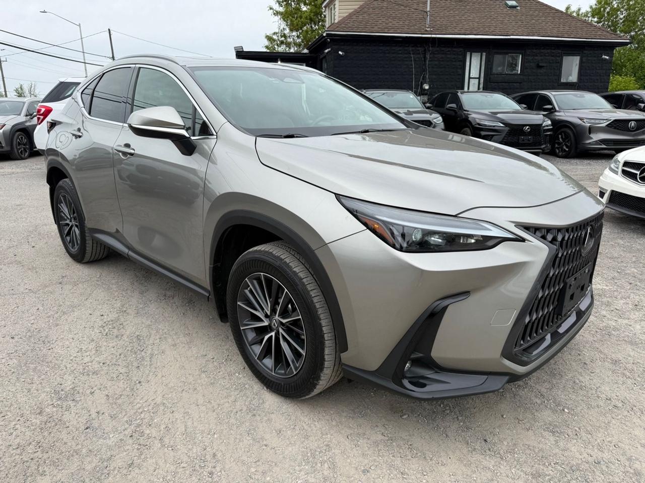 2022 Lexus NX 350h Premium Photo