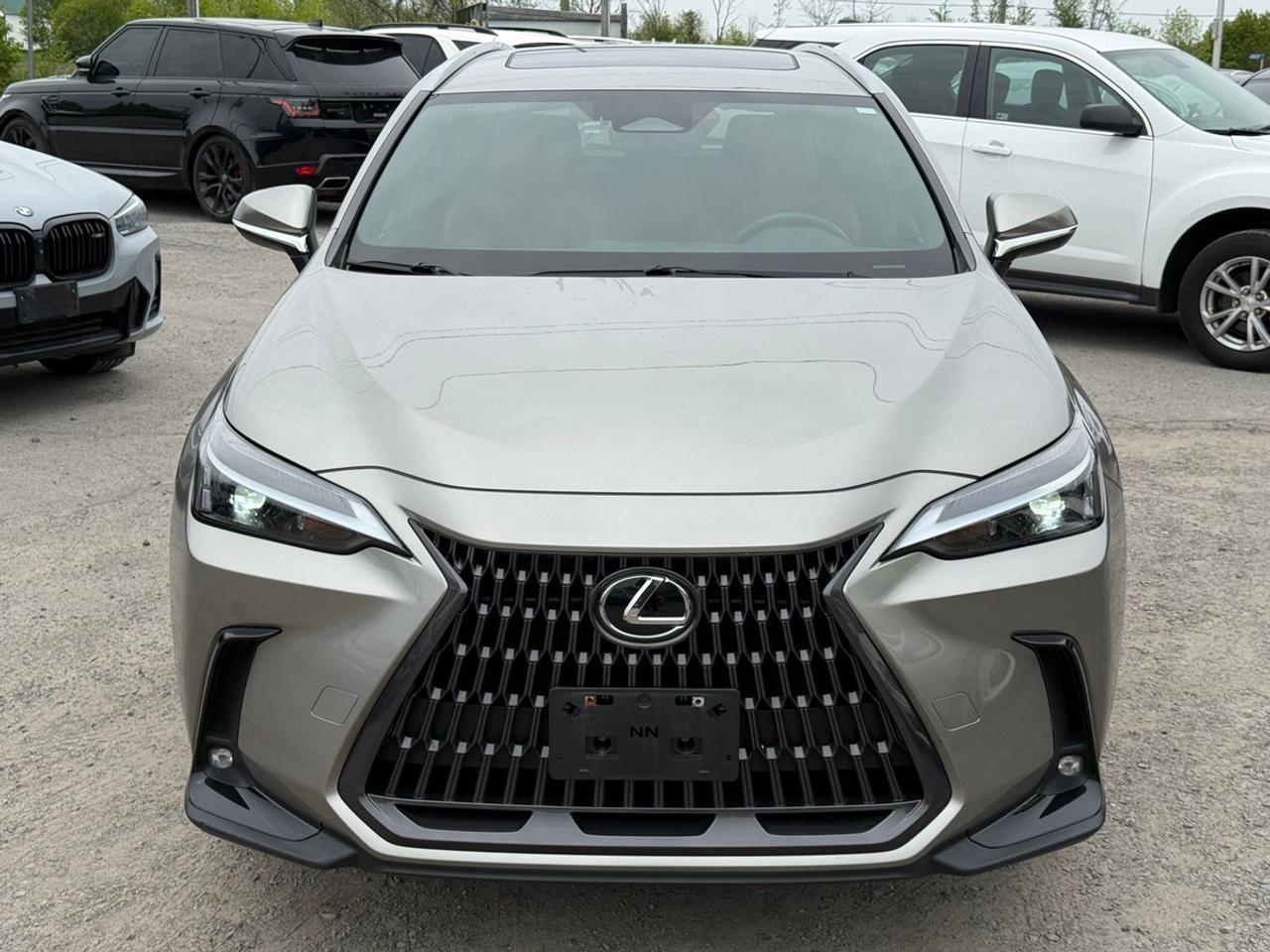 2022 Lexus NX 350h Premium Photo