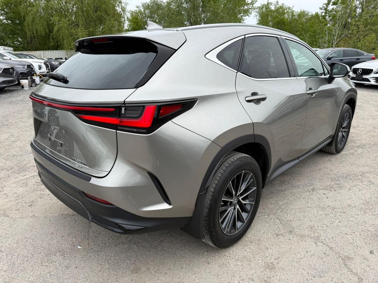 2022 Lexus NX 350h Premium Photo