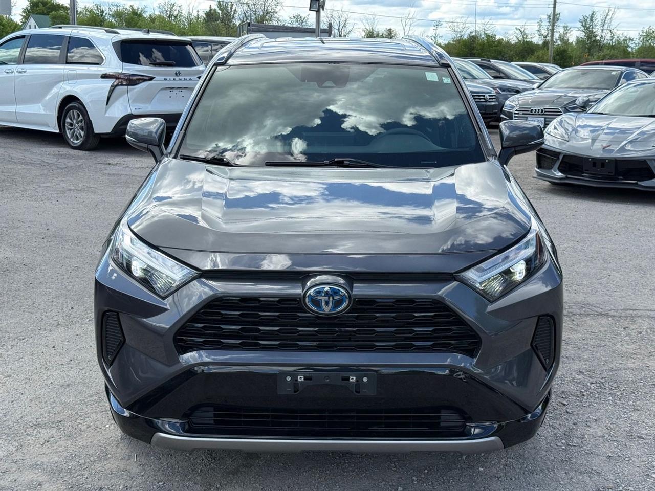 2024 Toyota RAV4 SE HYBRID Photo