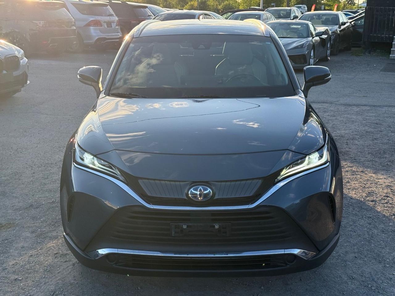 2021 Toyota Venza XLE Photo